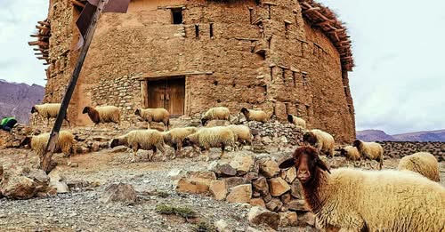 صورة الموقع السياحي